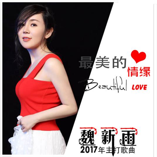 最美的情缘（魏新雨演唱歌曲）