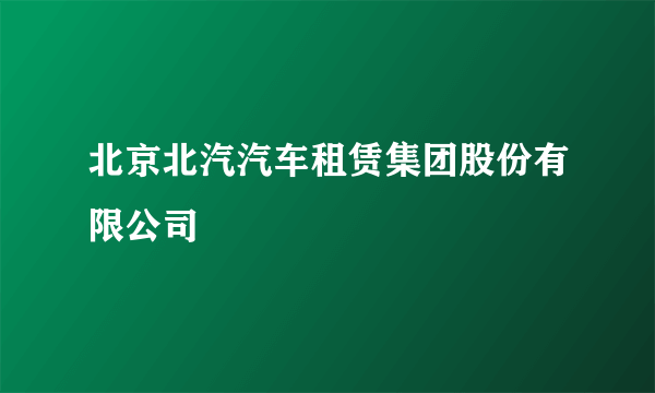 北京北汽汽车租赁集团股份有限公司