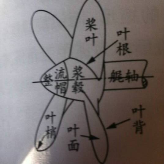 桨毂