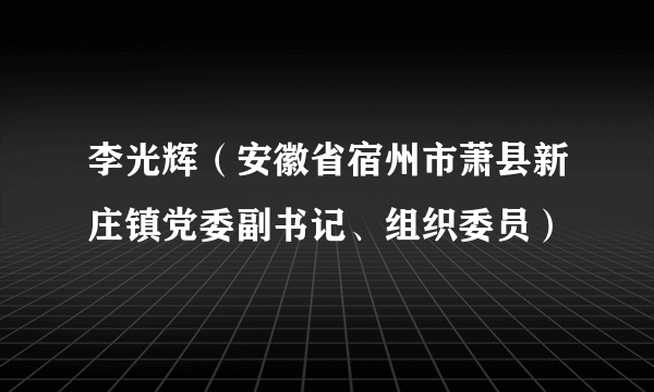 李光辉（安徽省宿州市萧县新庄镇党委副书记、组织委员）