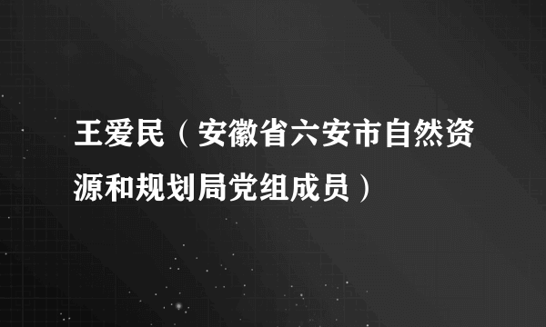 王爱民(安徽省六安市自然资源和规划局党组成员)