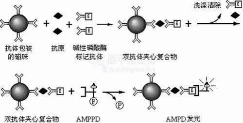 化学发光分析