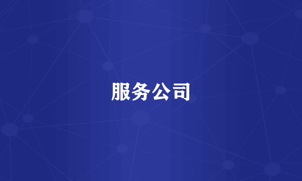 服务公司