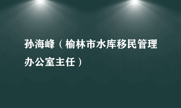 孙海峰（榆林市水库移民管理办公室主任）