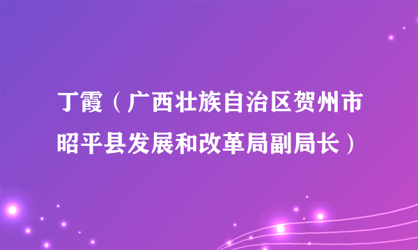 丁霞（广西壮族自治区贺州市昭平县发展和改革局副局长）