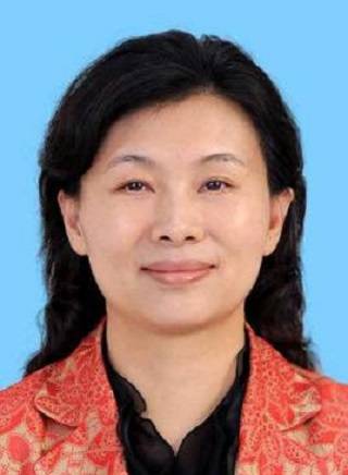 郭子平(深圳市发改委党组书记、主任,市推进粤港澳大湾区建设领导小组办公室主任,市医疗器械产业创新链党委书记)