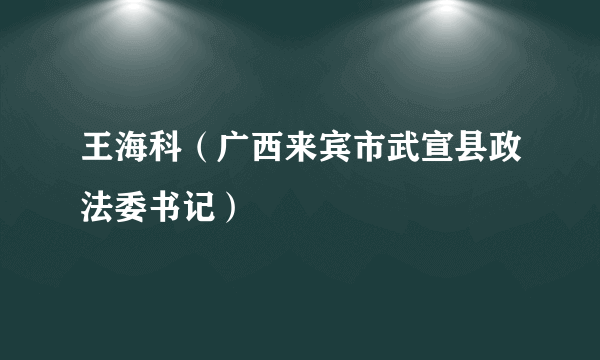 王海科（广西来宾市武宣县政法委书记）