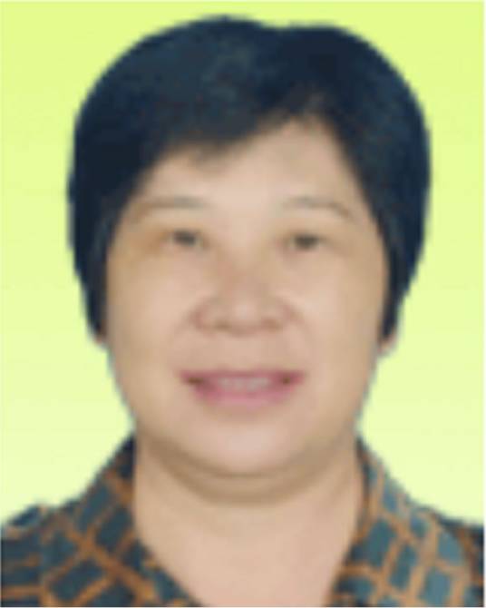 谢金凤（广东省河源市连平县人大常委会副处级干部）