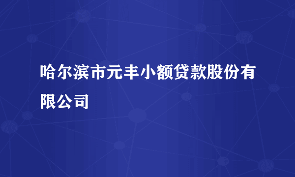 哈尔滨市元丰小额贷款股份有限公司