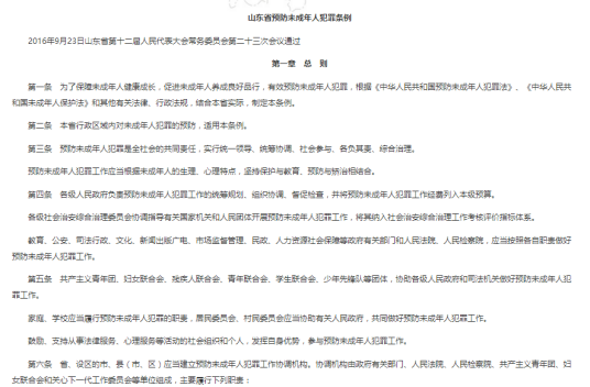 山东省预防未成年人犯罪条例