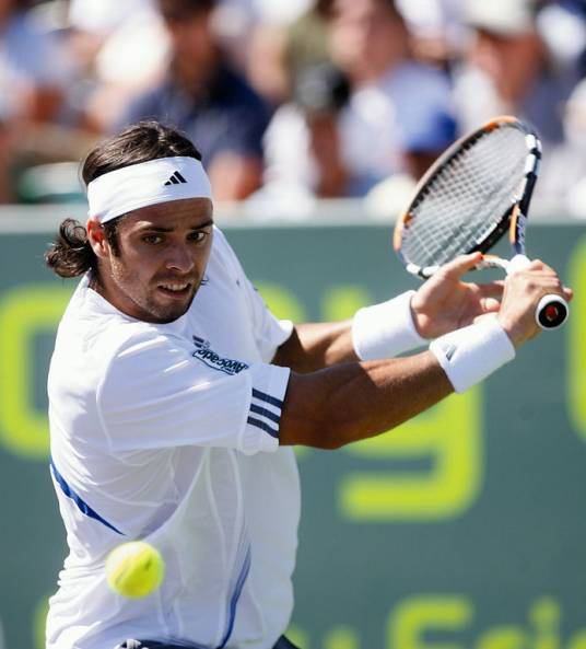 费尔南多·冈萨雷斯（前智利网球运动员）