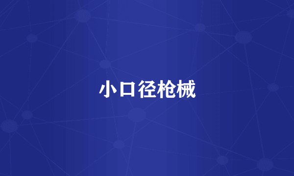 小口径枪械