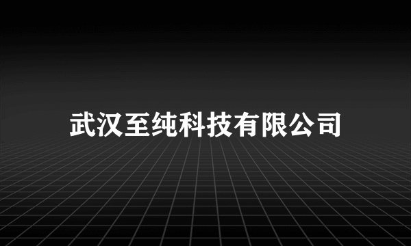 武汉至纯科技有限公司