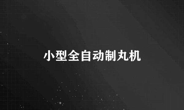 小型全自动制丸机
