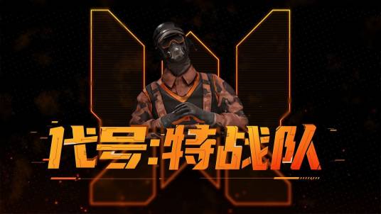 代号：特战队
