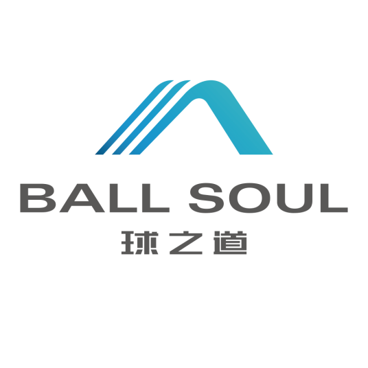 武汉球之道科技有限公司