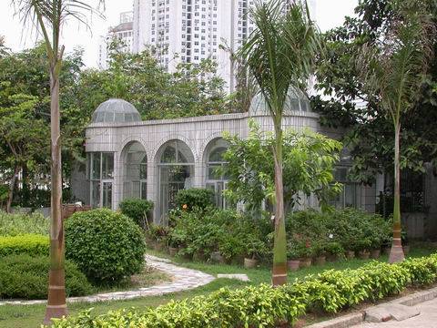 深圳市石厦中学