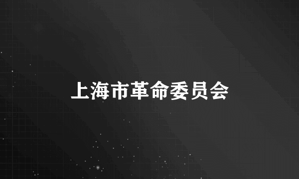 上海市革命委员会