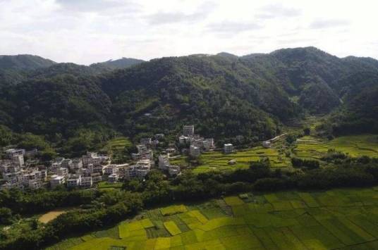 岭景镇