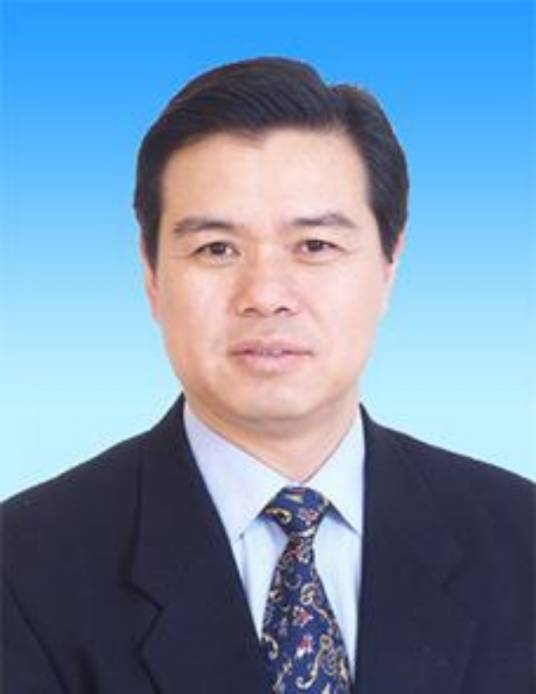 陈善荣（中国环境监测总站原站长）