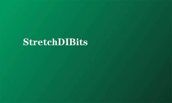 StretchDIBits