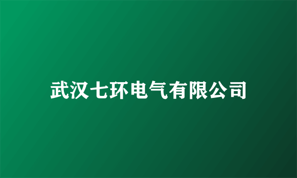 武汉七环电气有限公司