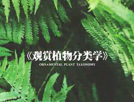 观赏植物分类学（西南大学建设的慕课）