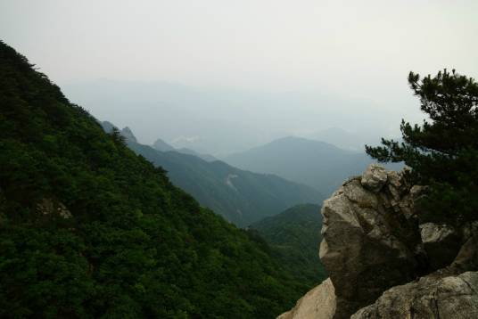 长江河村