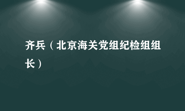 齐兵（北京海关党组纪检组组长）