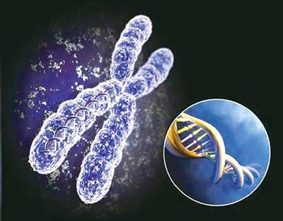 中国十大科技进展新闻