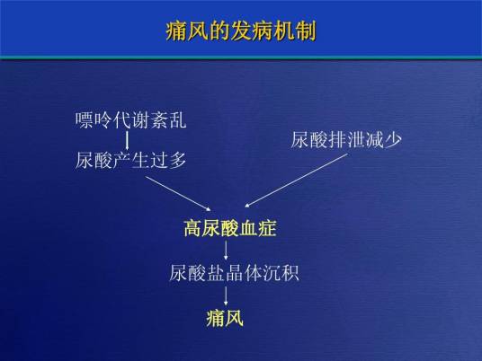 嘌呤代谢紊乱