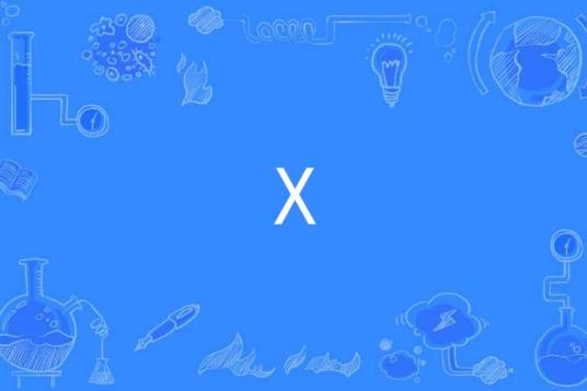 x（数学含义）