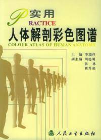 实用人体解剖彩色图谱