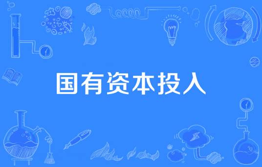国有资本投入