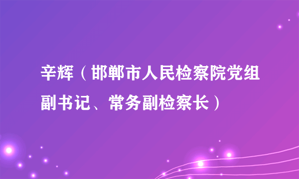辛辉（邯郸市人民检察院党组副书记、常务副检察长）