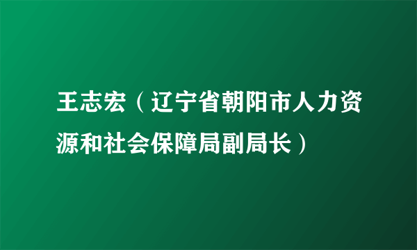 王志宏（辽宁省朝阳市人力资源和社会保障局副局长）