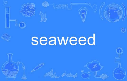 seaweed