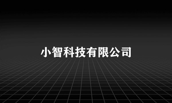 小智科技有限公司