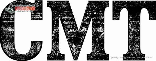 Cmt（CMT ASSET MANAGEMENT）