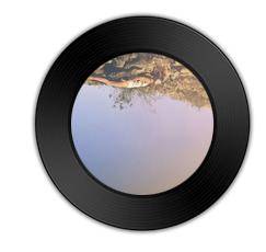 White Noise(2017年艾拉·福斯(Ella Vos)的歌曲)