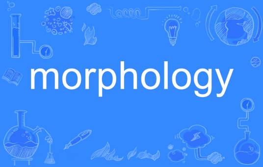 morphology