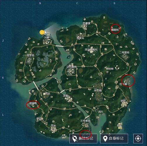 雨林（游戏《和平精英》中的地图名称）