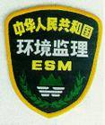 环境监理（实施环境监督管理的重要举措）