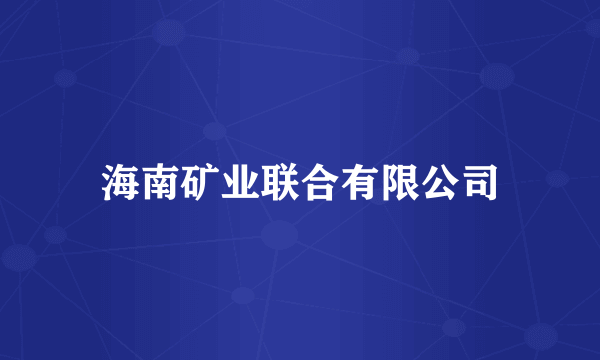 海南矿业联合有限公司