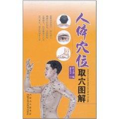 人体穴位取穴图解