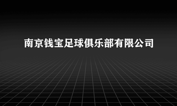 南京钱宝足球俱乐部有限公司