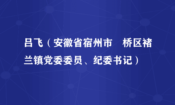 吕飞（安徽省宿州市埇桥区褚兰镇党委委员、纪委书记）