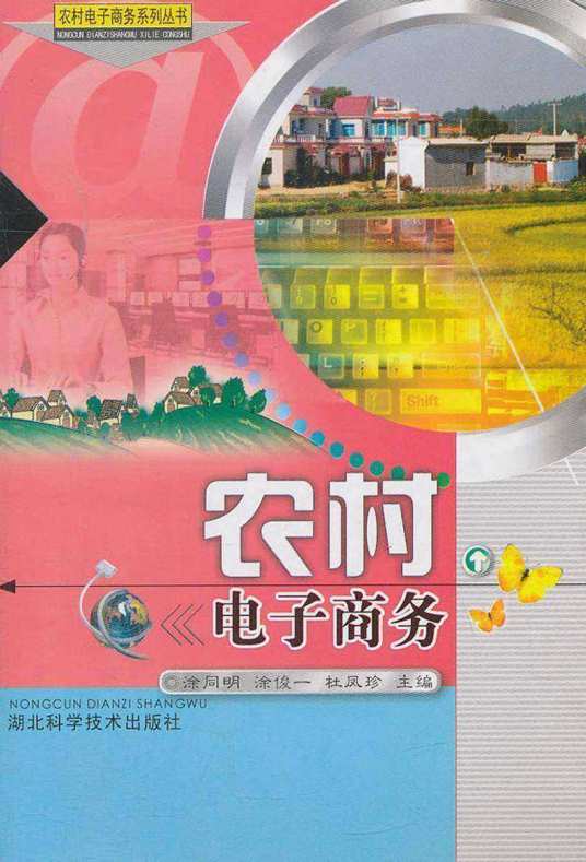 农村电子商务（2011年湖北科学技术出版社出版的图书）