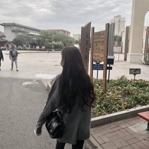 一生有爱何惧风飞沙