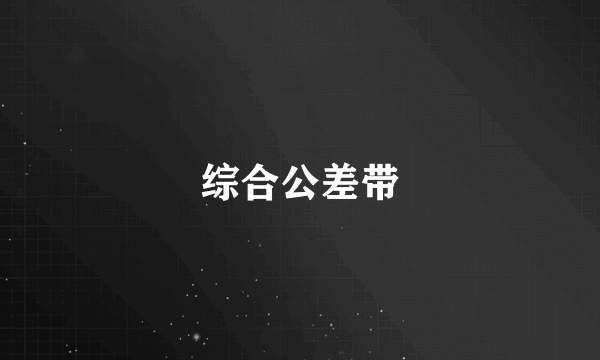 综合公差带